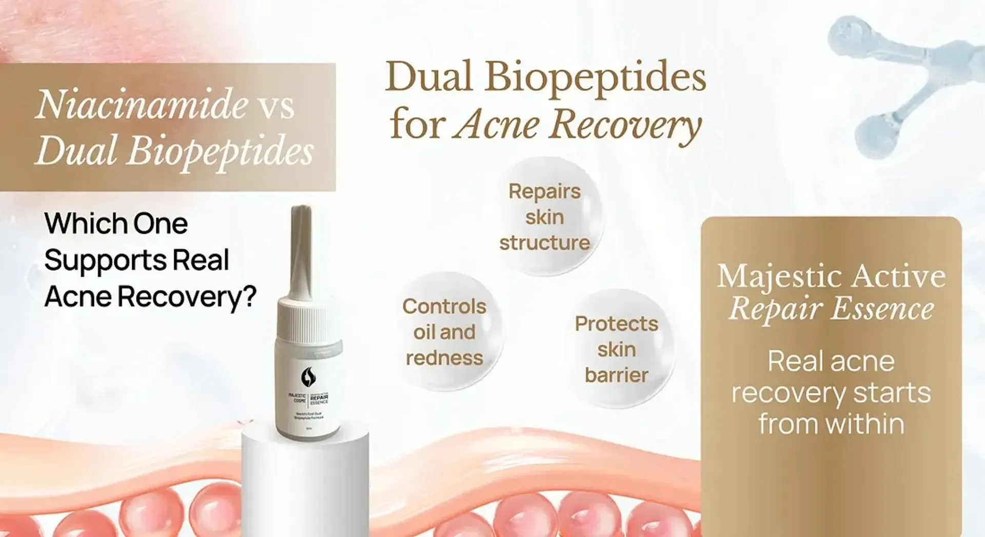 Niacinamide vs Dual Biopeptides: Which One Supports Real Acne Recovery?
